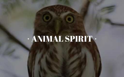 Espiritu animal