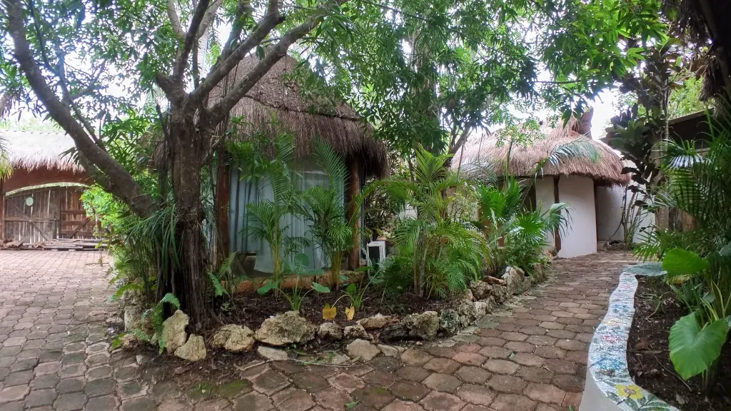 Cristal Outside.webp